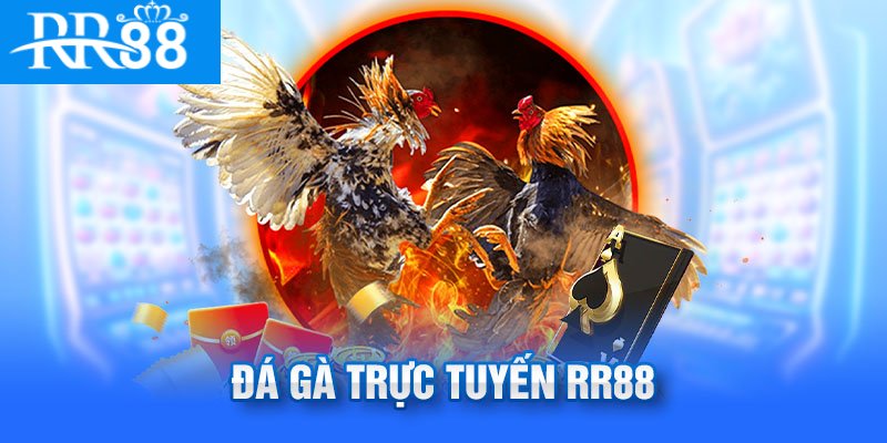 Game đá gà online rr88